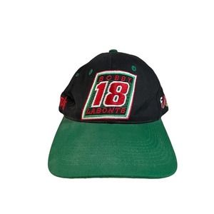 Vintage 90s Bobby Labonte Nascar adjustable hat Chase Authentics snapback cap
